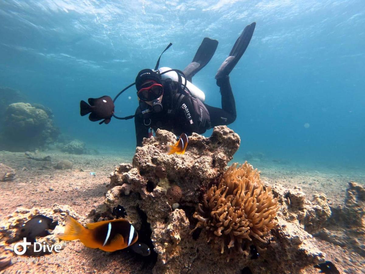 Aqaba Pro Divers Zewnętrze zdjęcie