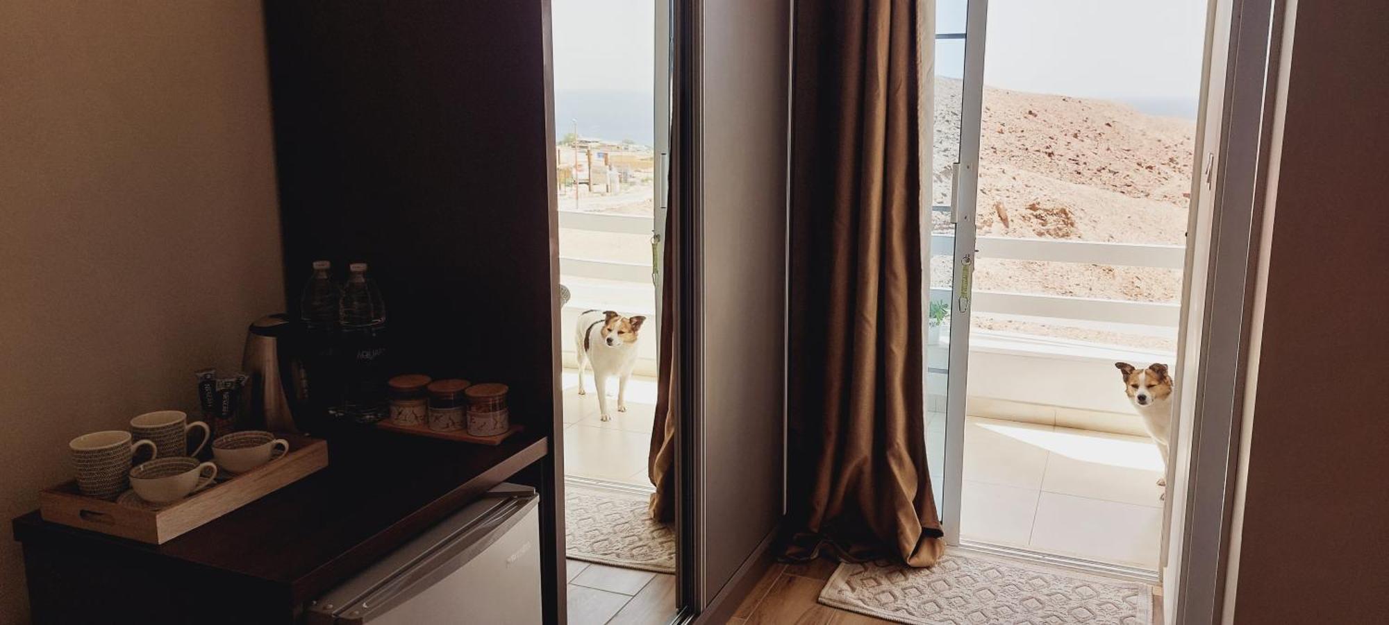 Aqaba Pro Divers Zewnętrze zdjęcie