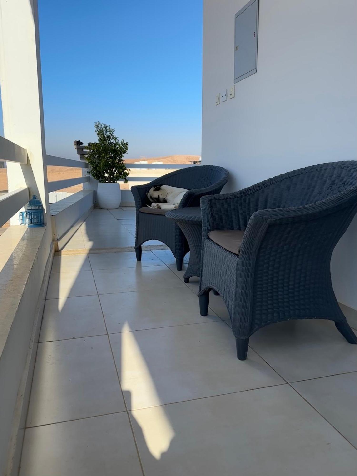 Aqaba Pro Divers Zewnętrze zdjęcie