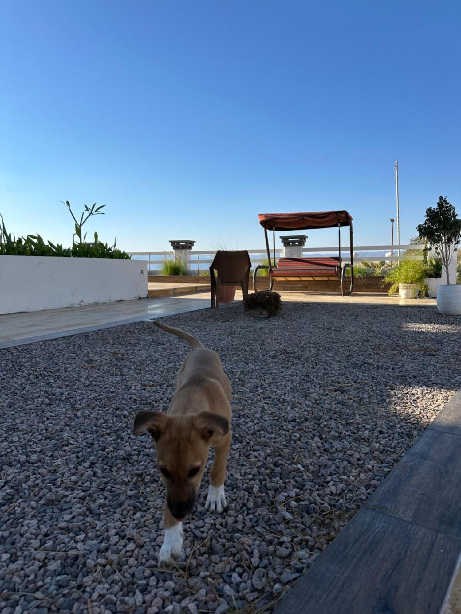 Aqaba Pro Divers Zewnętrze zdjęcie