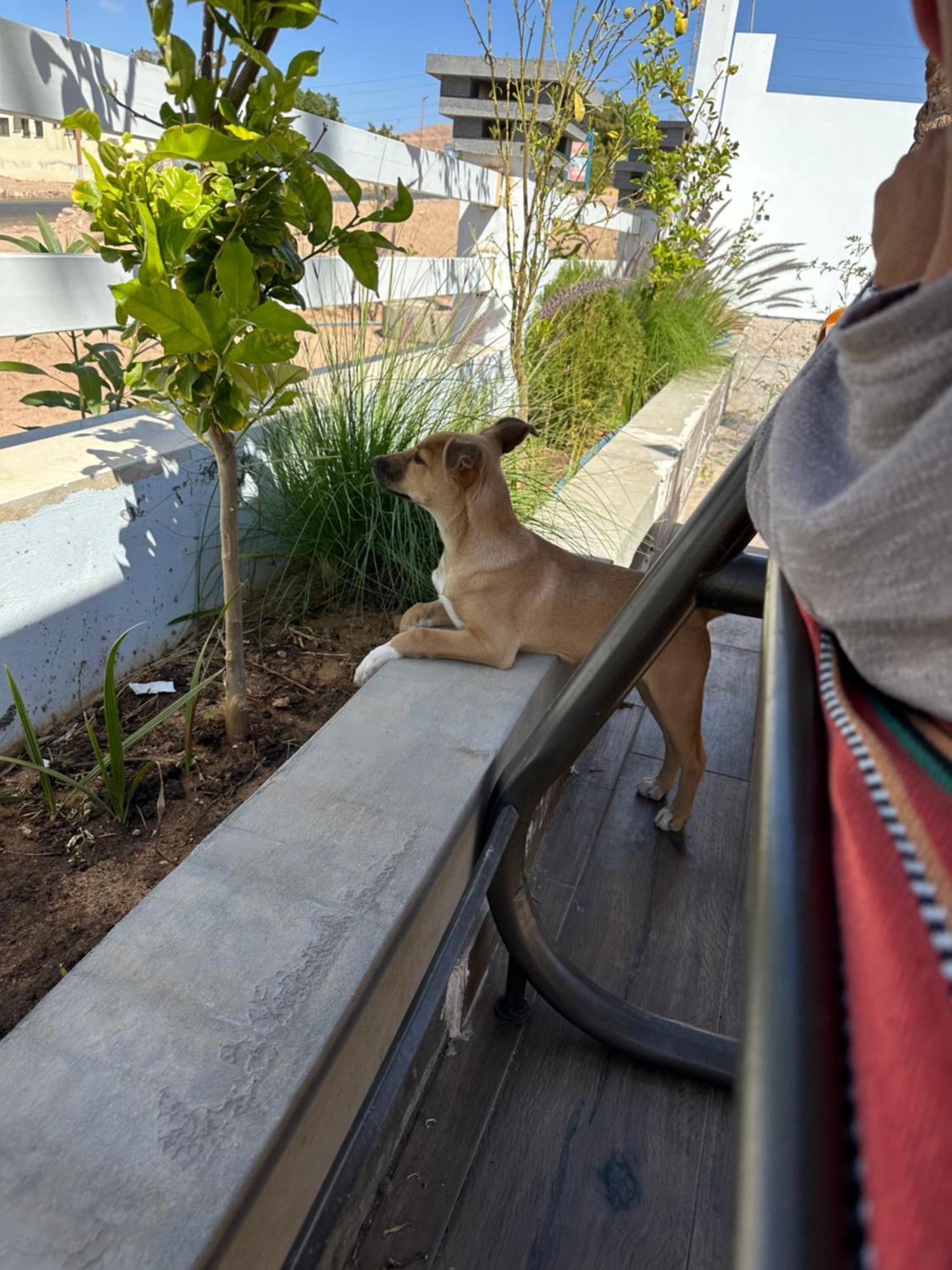 Aqaba Pro Divers Zewnętrze zdjęcie